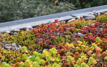 the cost of Hoptonbank green roof installation