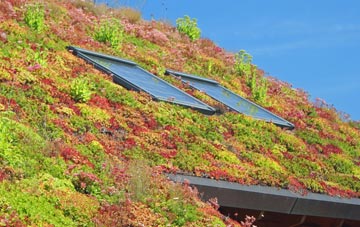 Hoptonbank living roof systems